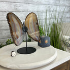 Natural Brazilian Agate "Butterfly Wings", 9.6" Tall #5050NA-105 - Brazil GemsBrazil GemsNatural Brazilian Agate "Butterfly Wings", 9.6" Tall #5050NA-105Agate Butterfly Wings5050NA-105