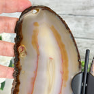 Natural Brazilian Agate "Butterfly Wings", 9.6" Tall #5050NA-105 - Brazil GemsBrazil GemsNatural Brazilian Agate "Butterfly Wings", 9.6" Tall #5050NA-105Agate Butterfly Wings5050NA-105