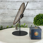 Natural Brazilian Agate "Butterfly Wings", 9.6" Tall #5050NA-105 - Brazil GemsBrazil GemsNatural Brazilian Agate "Butterfly Wings", 9.6" Tall #5050NA-105Agate Butterfly Wings5050NA-105