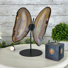 Natural Brazilian Agate "Butterfly Wings", 9.6" Tall #5050NA-105 - Brazil GemsBrazil GemsNatural Brazilian Agate "Butterfly Wings", 9.6" Tall #5050NA-105Agate Butterfly Wings5050NA-105