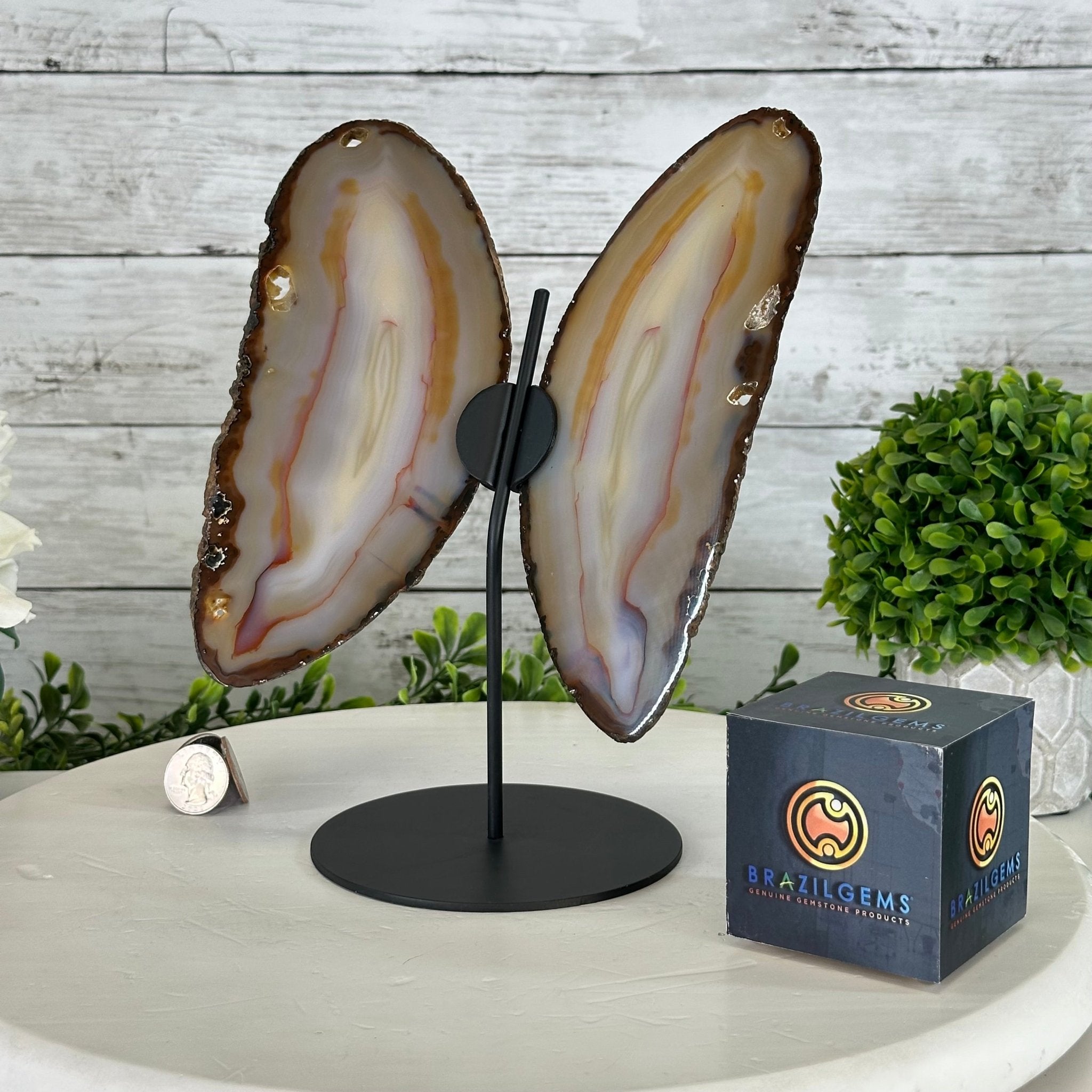 Natural Brazilian Agate "Butterfly Wings", 9.6" Tall #5050NA-105 - Brazil GemsBrazil GemsNatural Brazilian Agate "Butterfly Wings", 9.6" Tall #5050NA-105Agate Butterfly Wings5050NA-105