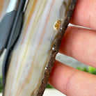 Natural Brazilian Agate "Butterfly Wings", 9.6" Tall #5050NA-105 - Brazil GemsBrazil GemsNatural Brazilian Agate "Butterfly Wings", 9.6" Tall #5050NA-105Agate Butterfly Wings5050NA-105