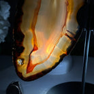 Natural Brazilian Agate "Butterfly Wings", 9.6" Tall #5050NA-105 - Brazil GemsBrazil GemsNatural Brazilian Agate "Butterfly Wings", 9.6" Tall #5050NA-105Agate Butterfly Wings5050NA-105