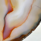 Natural Brazilian Agate "Butterfly Wings", 9.6" Tall #5050NA-105 - Brazil GemsBrazil GemsNatural Brazilian Agate "Butterfly Wings", 9.6" Tall #5050NA-105Agate Butterfly Wings5050NA-105