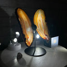 Natural Brazilian Agate "Butterfly Wings", 9.6" Tall #5050NA-105 - Brazil GemsBrazil GemsNatural Brazilian Agate "Butterfly Wings", 9.6" Tall #5050NA-105Agate Butterfly Wings5050NA-105