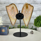 Natural Brazilian Agate "Butterfly Wings", 9.9" Tall #5050NA-116 - Brazil GemsBrazil GemsNatural Brazilian Agate "Butterfly Wings", 9.9" Tall #5050NA-116Agate Butterfly Wings5050NA-116