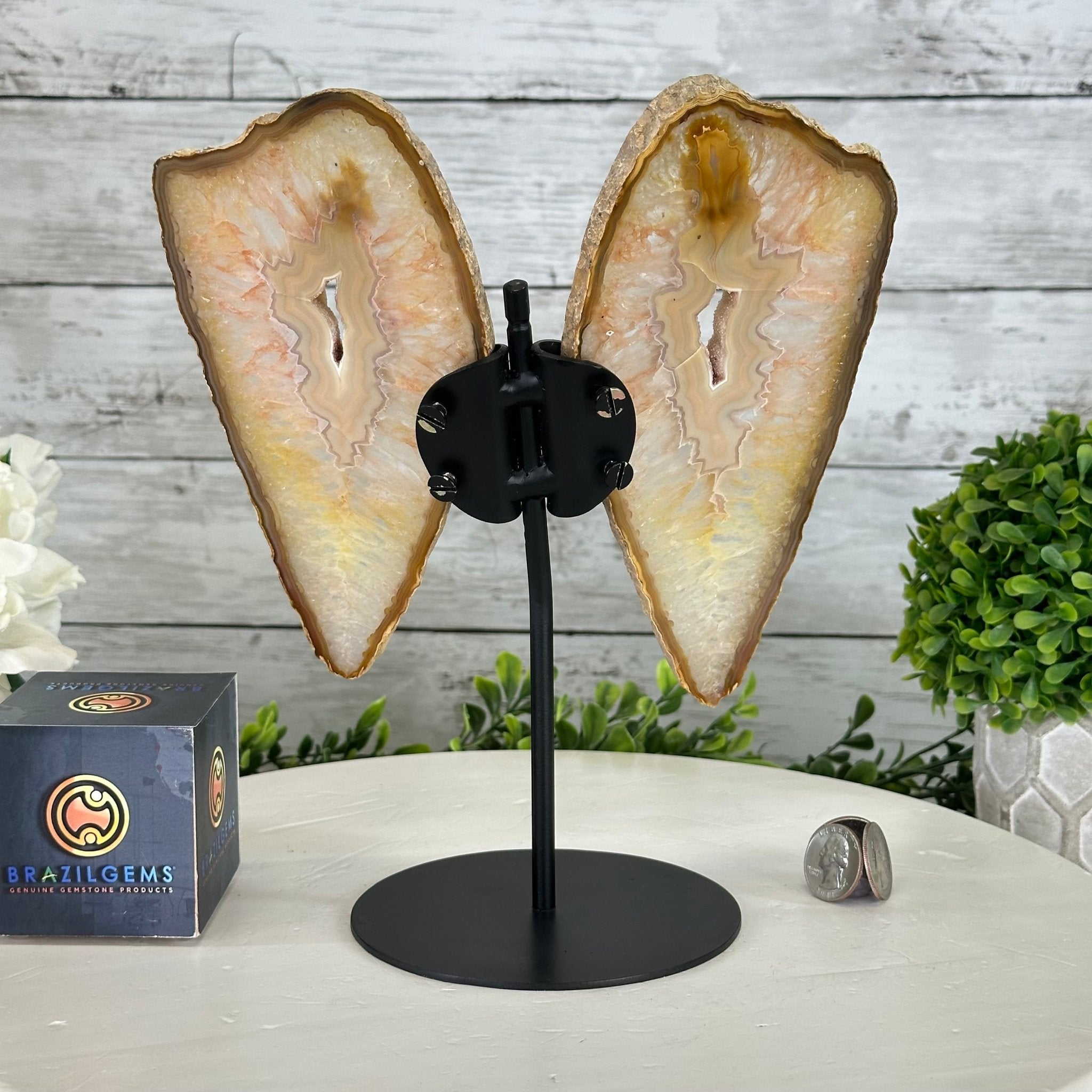 Natural Brazilian Agate "Butterfly Wings", 9.9" Tall #5050NA-116 - Brazil GemsBrazil GemsNatural Brazilian Agate "Butterfly Wings", 9.9" Tall #5050NA-116Agate Butterfly Wings5050NA-116