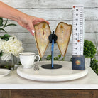 Natural Brazilian Agate "Butterfly Wings", 9.9" Tall #5050NA-116 - Brazil GemsBrazil GemsNatural Brazilian Agate "Butterfly Wings", 9.9" Tall #5050NA-116Agate Butterfly Wings5050NA-116