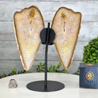 Natural Brazilian Agate "Butterfly Wings", 9.9" Tall #5050NA-116 - Brazil GemsBrazil GemsNatural Brazilian Agate "Butterfly Wings", 9.9" Tall #5050NA-116Agate Butterfly Wings5050NA-116