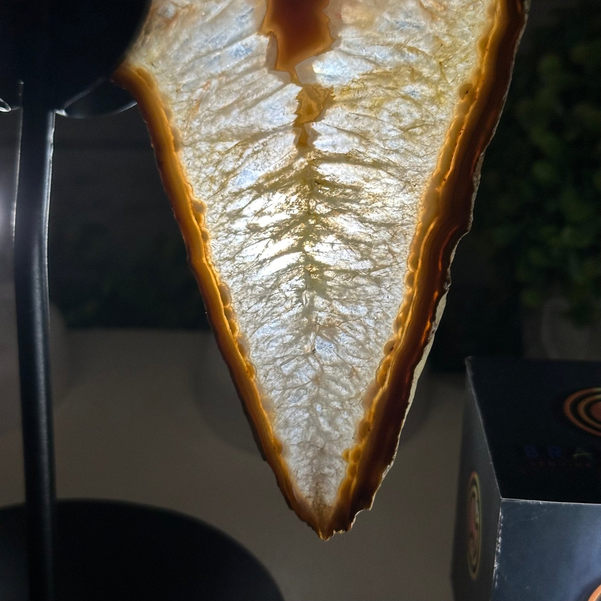 Natural Brazilian Agate "Butterfly Wings", 9.9" Tall #5050NA-116 - Brazil GemsBrazil GemsNatural Brazilian Agate "Butterfly Wings", 9.9" Tall #5050NA-116Agate Butterfly Wings5050NA-116