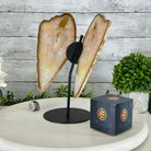 Natural Brazilian Agate "Butterfly Wings", 9.9" Tall #5050NA-116 - Brazil GemsBrazil GemsNatural Brazilian Agate "Butterfly Wings", 9.9" Tall #5050NA-116Agate Butterfly Wings5050NA-116