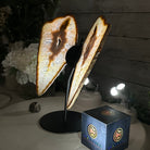 Natural Brazilian Agate "Butterfly Wings", 9.9" Tall #5050NA-116 - Brazil GemsBrazil GemsNatural Brazilian Agate "Butterfly Wings", 9.9" Tall #5050NA-116Agate Butterfly Wings5050NA-116