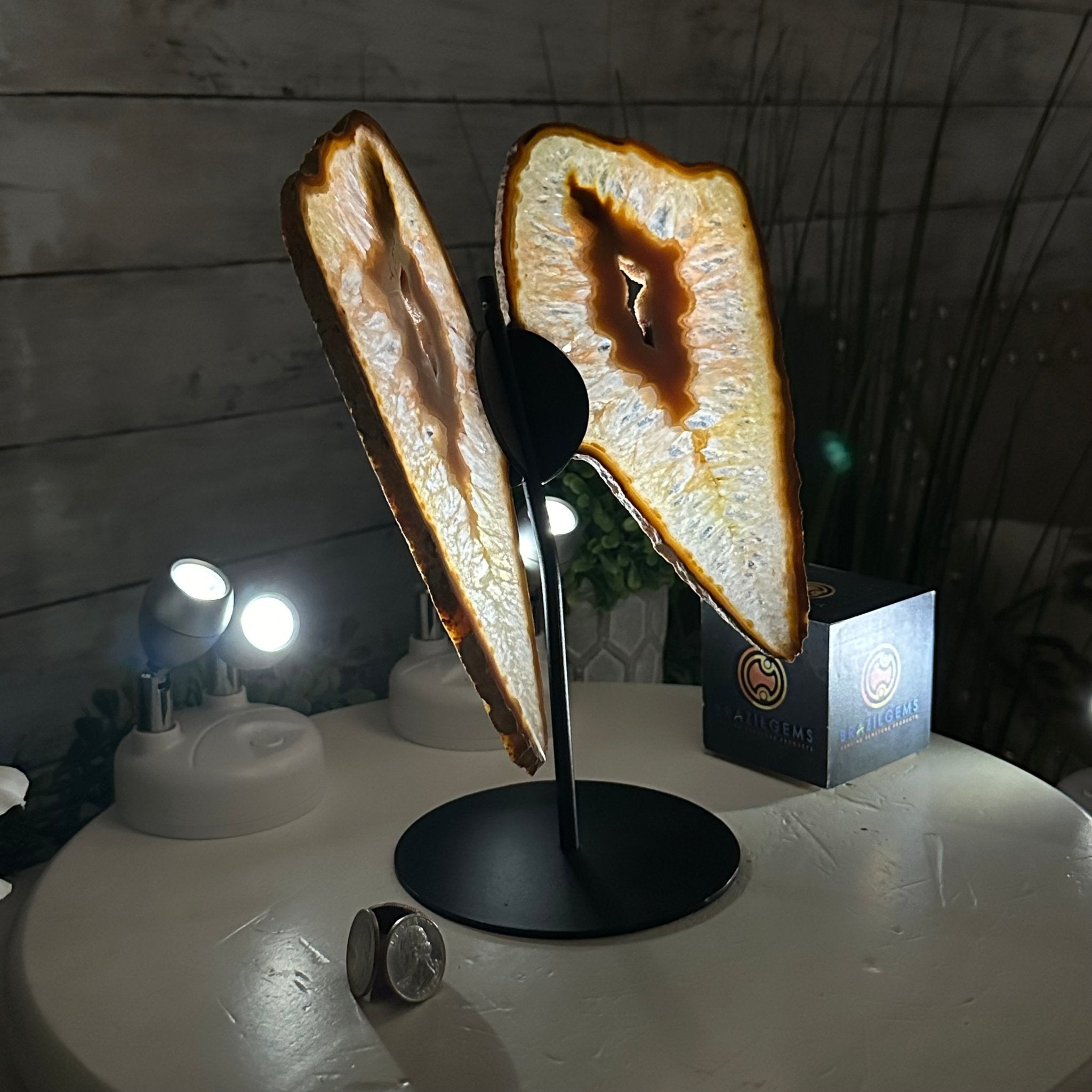 Natural Brazilian Agate "Butterfly Wings", 9.9" Tall #5050NA-116 - Brazil GemsBrazil GemsNatural Brazilian Agate "Butterfly Wings", 9.9" Tall #5050NA-116Agate Butterfly Wings5050NA-116
