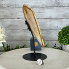 Natural Brazilian Agate "Butterfly Wings", 9.9" Tall #5050NA-116 - Brazil GemsBrazil GemsNatural Brazilian Agate "Butterfly Wings", 9.9" Tall #5050NA-116Agate Butterfly Wings5050NA-116