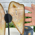 Natural Brazilian Agate "Butterfly Wings", 9.9" Tall #5050NA-116 - Brazil GemsBrazil GemsNatural Brazilian Agate "Butterfly Wings", 9.9" Tall #5050NA-116Agate Butterfly Wings5050NA-116