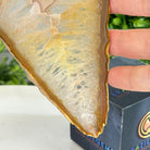 Natural Brazilian Agate "Butterfly Wings", 9.9" Tall #5050NA-116 - Brazil GemsBrazil GemsNatural Brazilian Agate "Butterfly Wings", 9.9" Tall #5050NA-116Agate Butterfly Wings5050NA-116