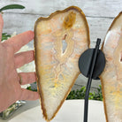 Natural Brazilian Agate "Butterfly Wings", 9.9" Tall #5050NA-116 - Brazil GemsBrazil GemsNatural Brazilian Agate "Butterfly Wings", 9.9" Tall #5050NA-116Agate Butterfly Wings5050NA-116