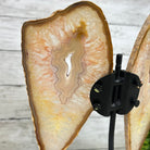 Natural Brazilian Agate "Butterfly Wings", 9.9" Tall #5050NA-116 - Brazil GemsBrazil GemsNatural Brazilian Agate "Butterfly Wings", 9.9" Tall #5050NA-116Agate Butterfly Wings5050NA-116