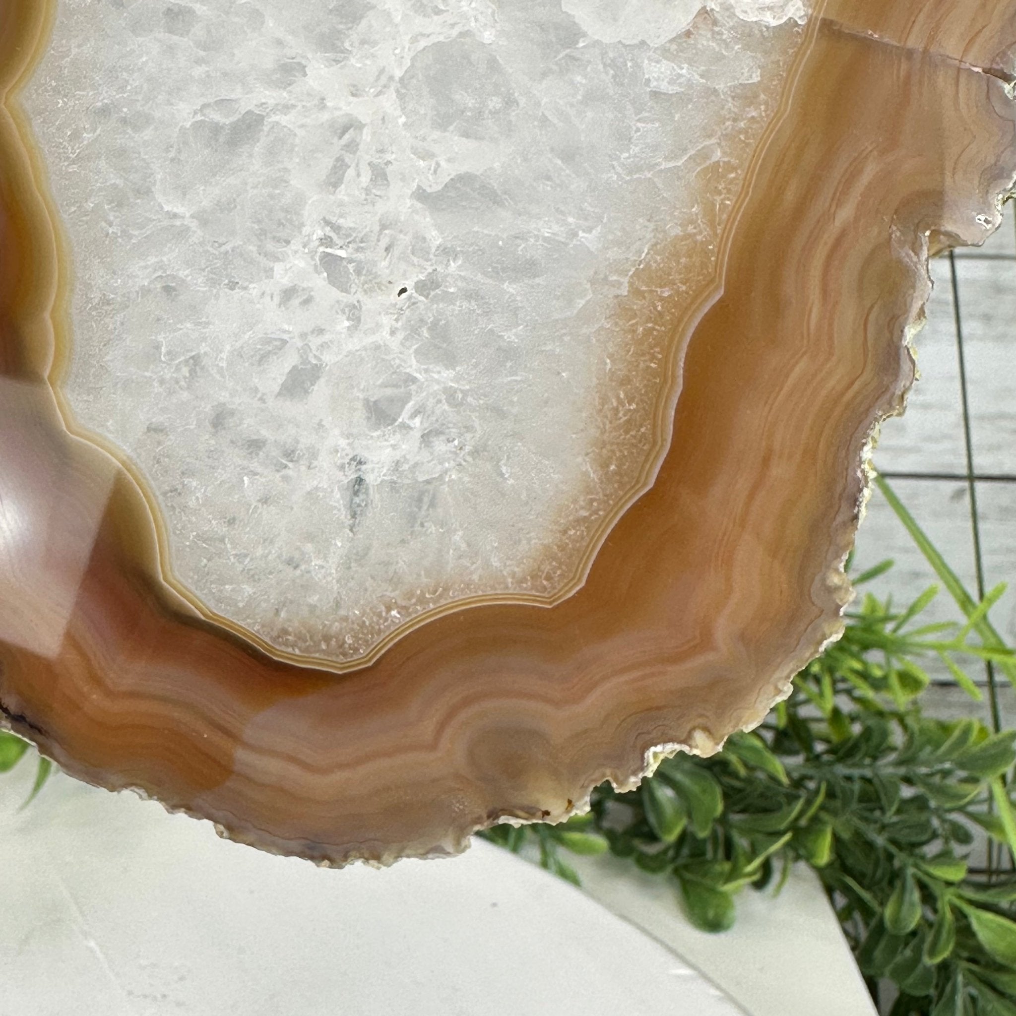 Natural Brazilian Agate "Butterfly Wings", Metal Stand, 14.5" Tall Model #5050NA-096 by Brazil Gems - Brazil GemsBrazil GemsNatural Brazilian Agate "Butterfly Wings", Metal Stand, 14.5" Tall Model #5050NA-096 by Brazil GemsAgate Butterfly Wings5050NA-096