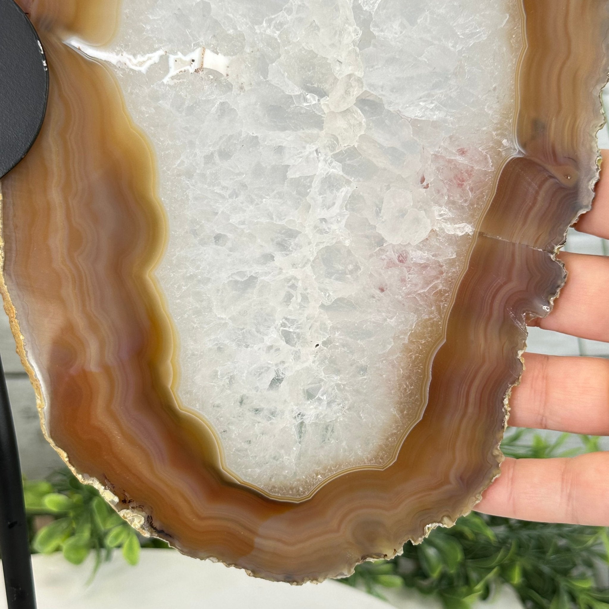 Natural Brazilian Agate "Butterfly Wings", Metal Stand, 14.5" Tall Model #5050NA-096 by Brazil Gems - Brazil GemsBrazil GemsNatural Brazilian Agate "Butterfly Wings", Metal Stand, 14.5" Tall Model #5050NA-096 by Brazil GemsAgate Butterfly Wings5050NA-096