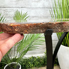 Natural Brazilian Agate Side Table on a black metal base, 22" tall #1305-0162 by Brazil Gems - Brazil GemsBrazil GemsNatural Brazilian Agate Side Table on a black metal base, 22" tall #1305-0162 by Brazil GemsTables: Side1305-0162