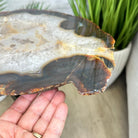 Natural Brazilian Agate Side Table on a black metal base, 22" tall #1305-0162 by Brazil Gems - Brazil GemsBrazil GemsNatural Brazilian Agate Side Table on a black metal base, 22" tall #1305-0162 by Brazil GemsTables: Side1305-0162