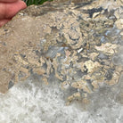 Natural Brazilian Agate Side Table on a black metal base, 22" tall #1305-0163 by Brazil Gems - Brazil GemsBrazil GemsNatural Brazilian Agate Side Table on a black metal base, 22" tall #1305-0163 by Brazil GemsTables: Side1305-0163