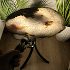 Natural Brazilian Agate Side Table on a black metal base, 22" tall #1305-0163 by Brazil Gems - Brazil GemsBrazil GemsNatural Brazilian Agate Side Table on a black metal base, 22" tall #1305-0163 by Brazil GemsTables: Side1305-0163