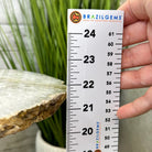 Natural Brazilian Agate Side Table on a black metal base, 22" tall #1305-0163 by Brazil Gems - Brazil GemsBrazil GemsNatural Brazilian Agate Side Table on a black metal base, 22" tall #1305-0163 by Brazil GemsTables: Side1305-0163