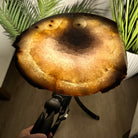 Natural Brazilian Agate Side Table on a black metal base, 22" tall #1305-0164 by Brazil Gems - Brazil GemsBrazil GemsNatural Brazilian Agate Side Table on a black metal base, 22" tall #1305-0164 by Brazil GemsTables: Side1305-0164