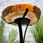 Natural Brazilian Agate Side Table on a black metal base, 22" tall #1305-0164 by Brazil Gems - Brazil GemsBrazil GemsNatural Brazilian Agate Side Table on a black metal base, 22" tall #1305-0164 by Brazil GemsTables: Side1305-0164