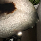 Natural Brazilian Agate Side Table, single slice on a black metal base, 21.75" tall #1305-0149 by Brazil Gems - Brazil GemsBrazil GemsNatural Brazilian Agate Side Table, single slice on a black metal base, 21.75" tall #1305-0149 by Brazil GemsTables: Side1305-0149