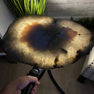 Natural Brazilian Agate Side Table, single slice on a black metal base, 22" tall #1305-0126 by Brazil Gems - Brazil GemsBrazil GemsNatural Brazilian Agate Side Table, single slice on a black metal base, 22" tall #1305-0126 by Brazil GemsTables: Side1305-0126