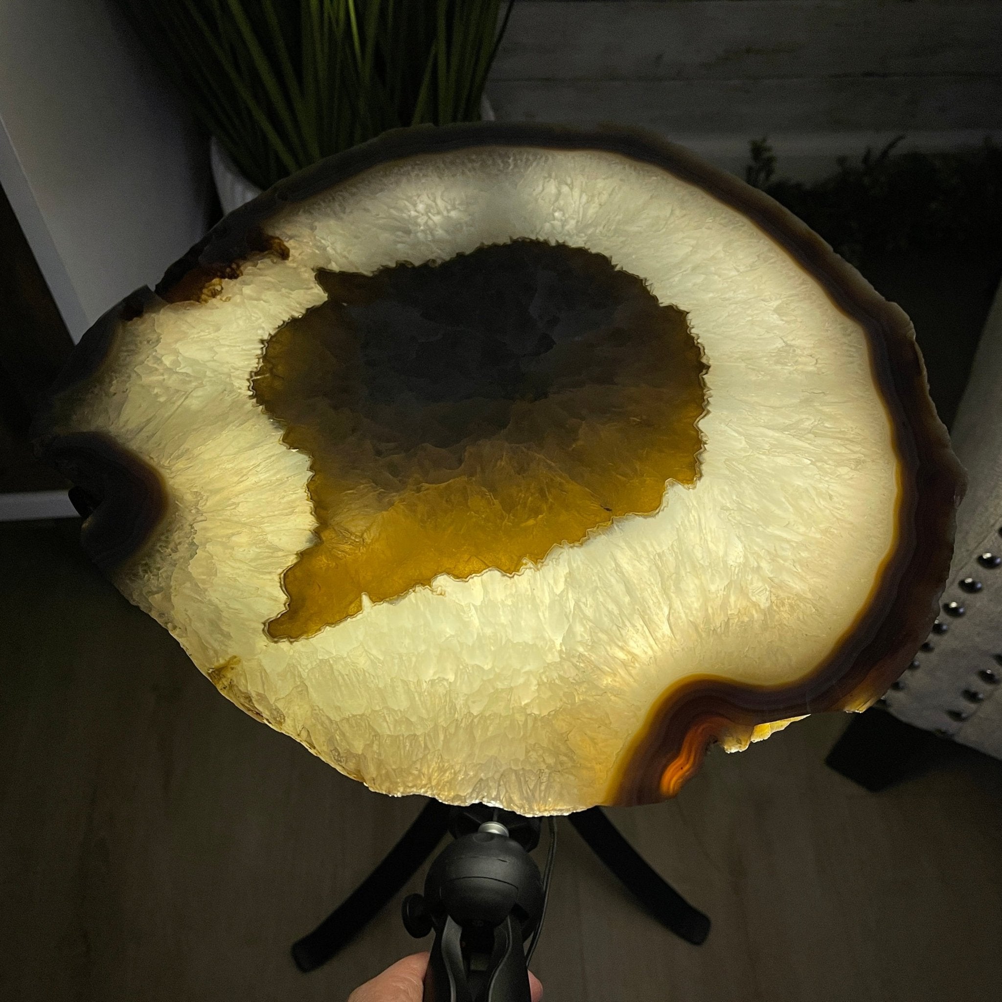 Natural Brazilian Agate Side Table, single slice on a black metal base, 22.25" tall #1305-0129 by Brazil Gems - Brazil GemsBrazil GemsNatural Brazilian Agate Side Table, single slice on a black metal base, 22.25" tall #1305-0129 by Brazil GemsTables: Side1305-0129