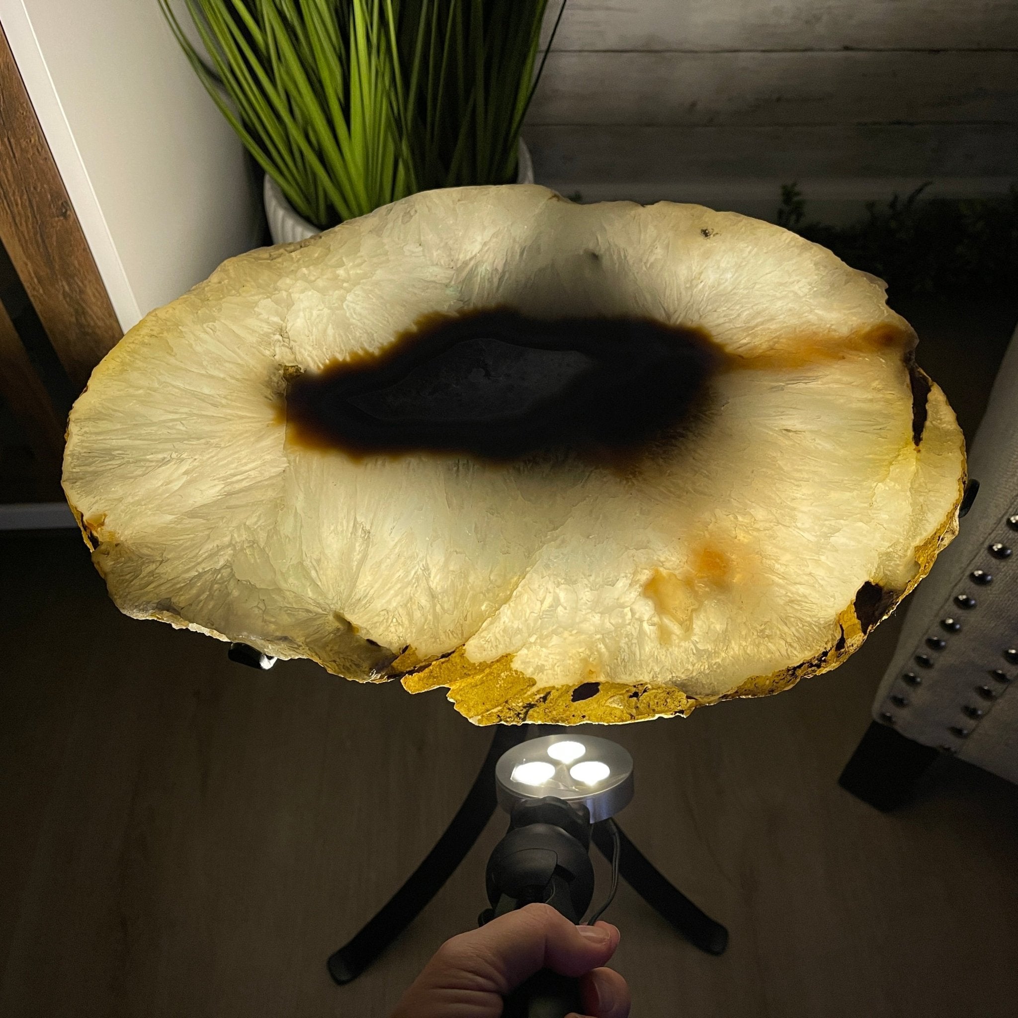 Natural Brazilian Agate Side Table, single slice on a black metal base, 22.25" tall #1305-0130 by Brazil Gems - Brazil GemsBrazil GemsNatural Brazilian Agate Side Table, single slice on a black metal base, 22.25" tall #1305-0130 by Brazil GemsTables: Side1305-0130