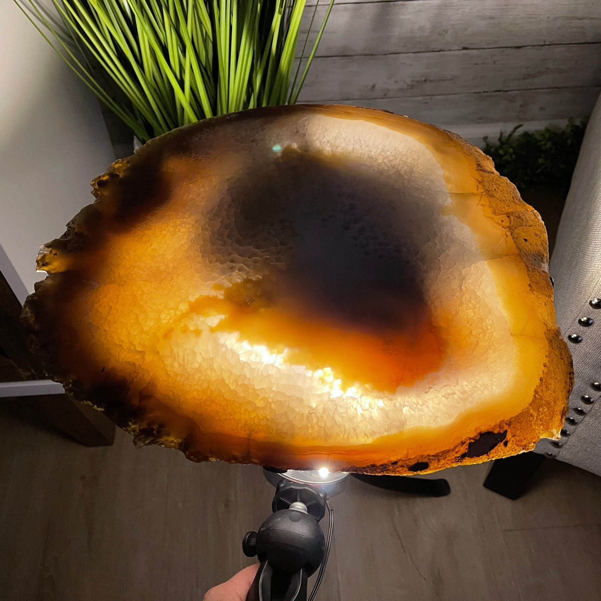 Natural Brazilian Agate Side Table, single slice on a black metal base, 22.5" tall #1305-0138 by Brazil Gems - Brazil GemsBrazil GemsNatural Brazilian Agate Side Table, single slice on a black metal base, 22.5" tall #1305-0138 by Brazil GemsTables: Side1305-0138