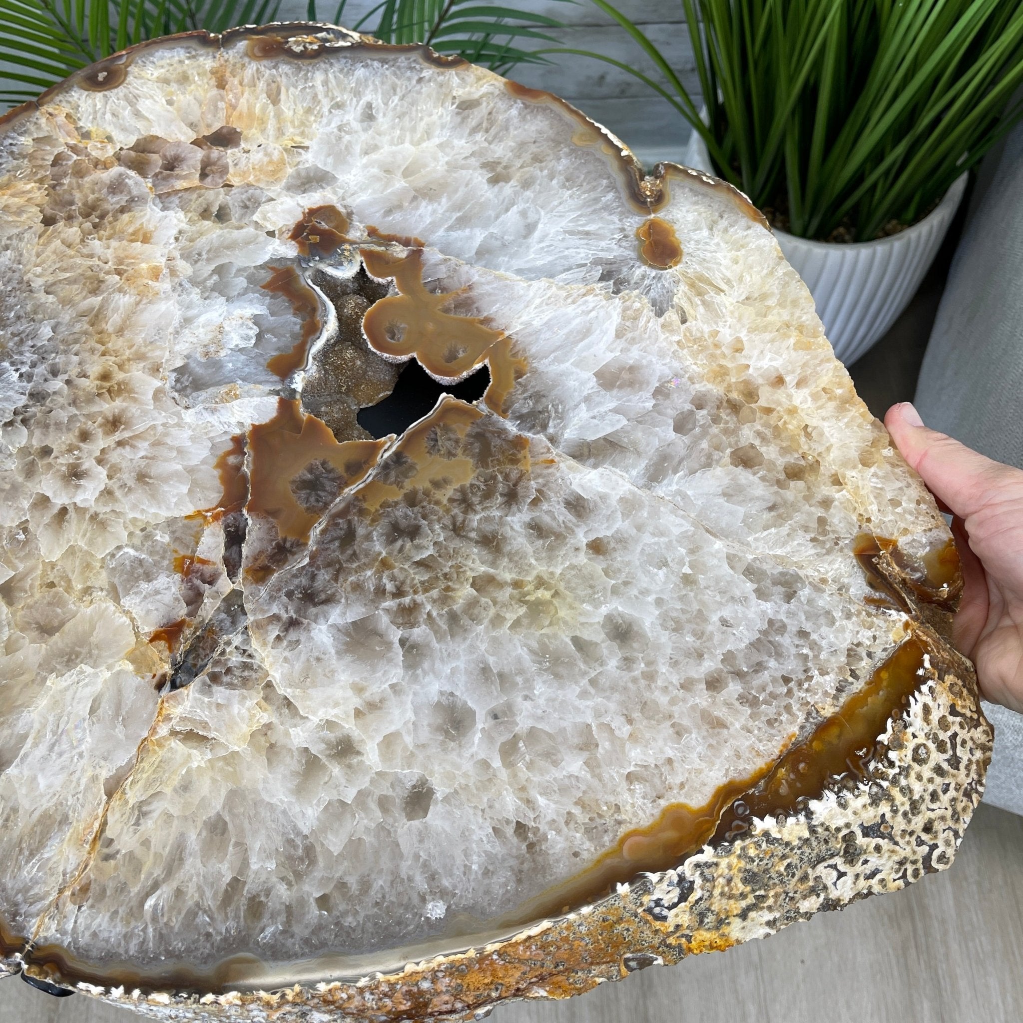 Natural Brazilian Agate Side Table, single slice on a black metal base, 24.75" tall #1307-0020 by Brazil Gems - Brazil GemsBrazil GemsNatural Brazilian Agate Side Table, single slice on a black metal base, 24.75" tall #1307-0020 by Brazil GemsTables: Side1307-0020