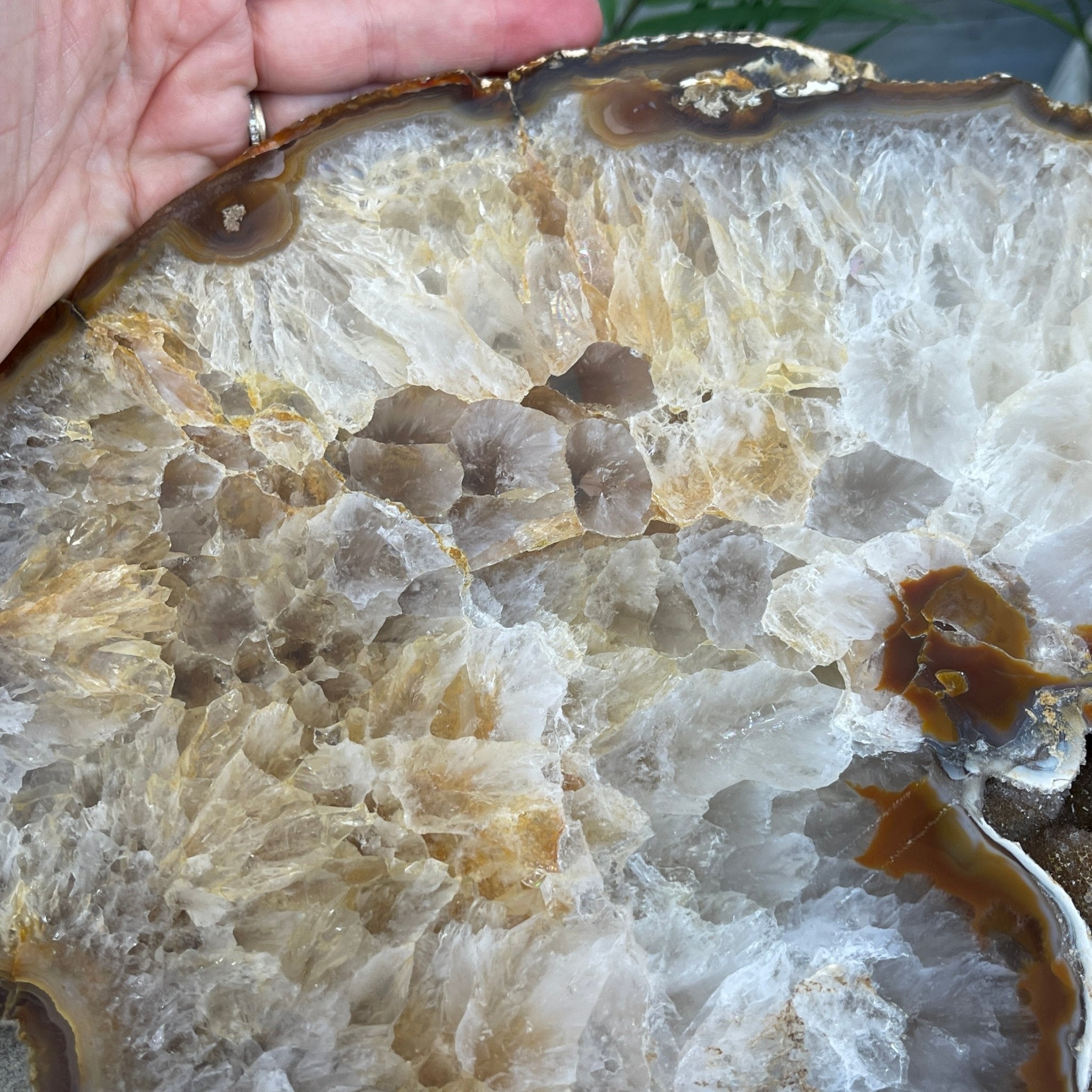 Natural Brazilian Agate Side Table, single slice on a black metal base, 24.75" tall #1307-0020 by Brazil Gems - Brazil GemsBrazil GemsNatural Brazilian Agate Side Table, single slice on a black metal base, 24.75" tall #1307-0020 by Brazil GemsTables: Side1307-0020