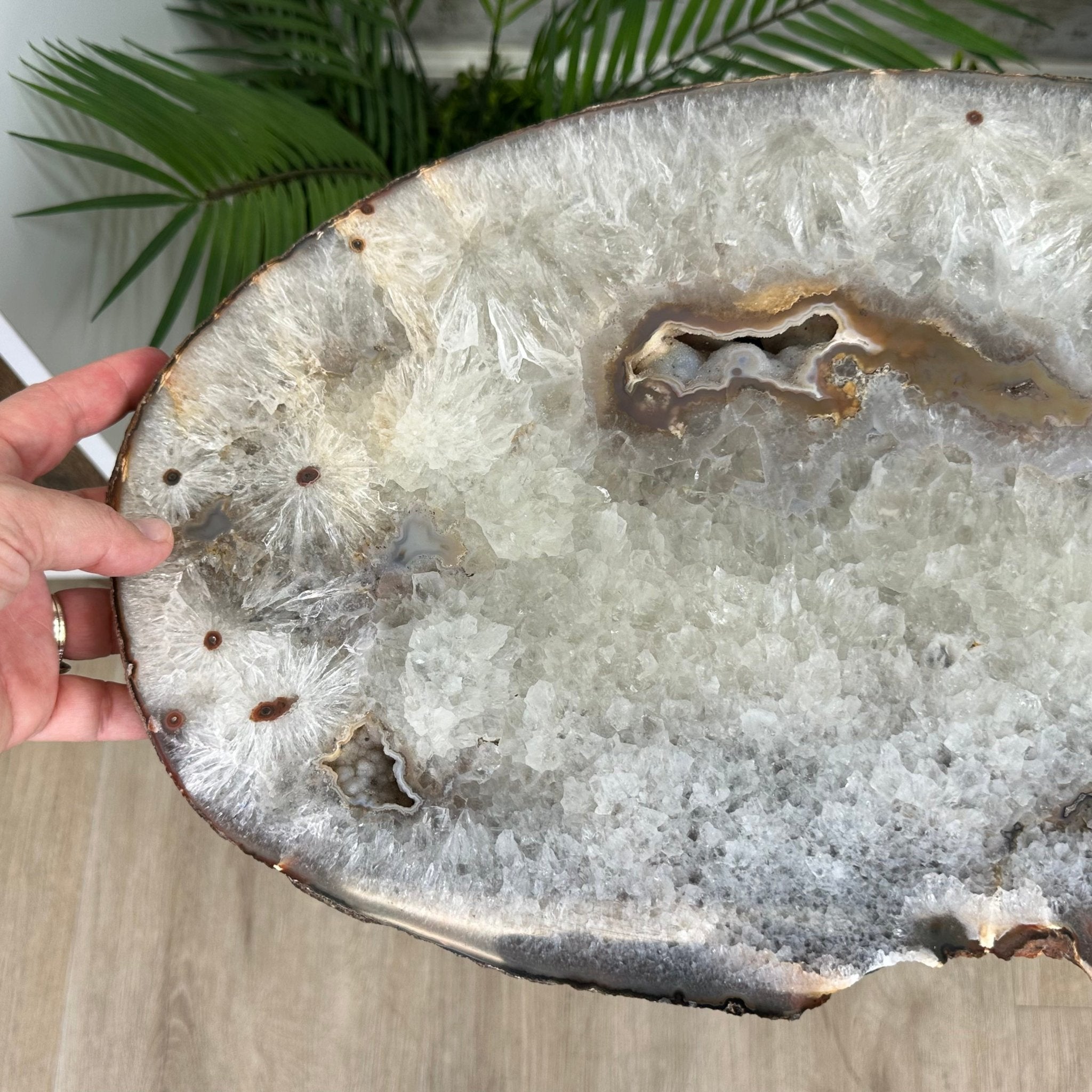 Natural Brazilian Agate Side Table, single slice on a black metal base, 24.75" tall #1307-0023 by Brazil Gems - Brazil GemsBrazil GemsNatural Brazilian Agate Side Table, single slice on a black metal base, 24.75" tall #1307-0023 by Brazil GemsTables: Side1307-0023