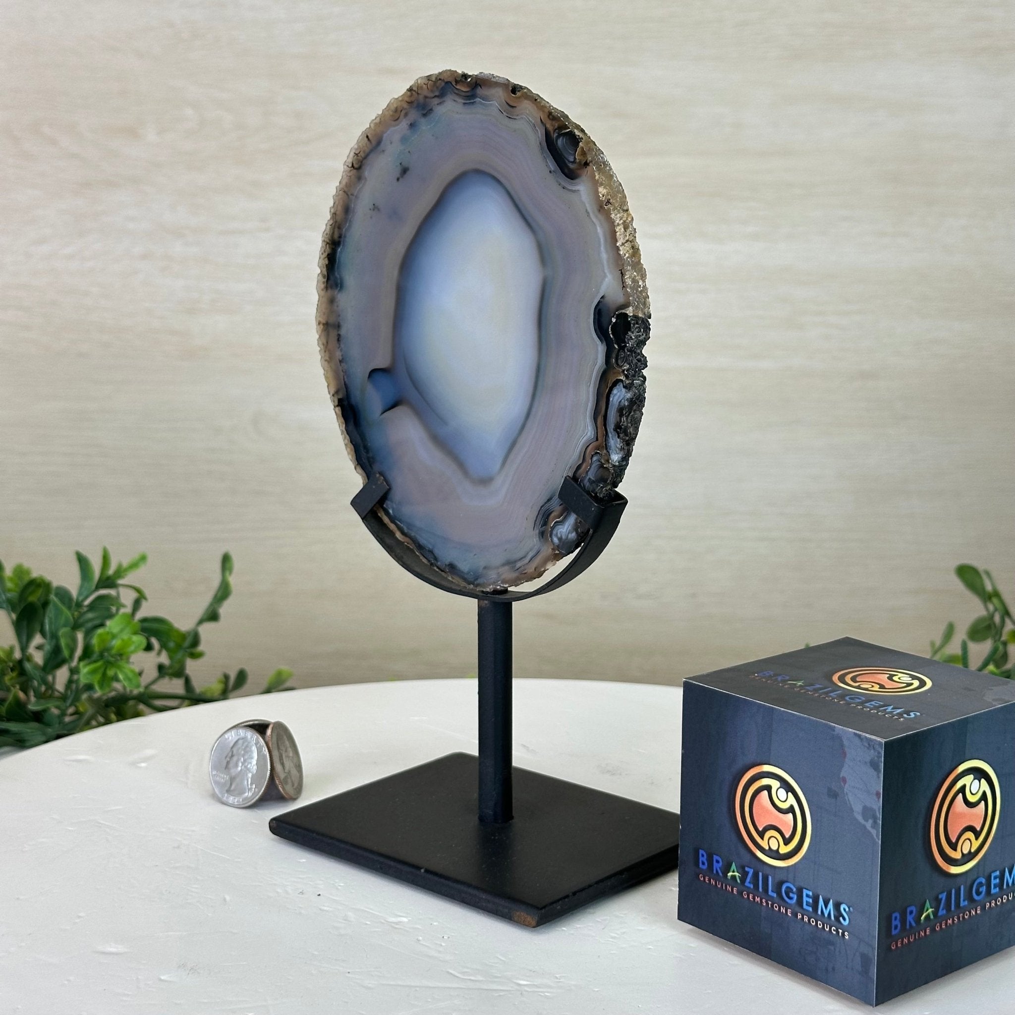 Natural Brazilian Agate Slice on a Metal Stand, 8.5" Tall #5067NA - 023 - Brazil GemsBrazil GemsNatural Brazilian Agate Slice on a Metal Stand, 8.5" Tall #5067NA - 023Slices on Fixed Bases5067NA - 023