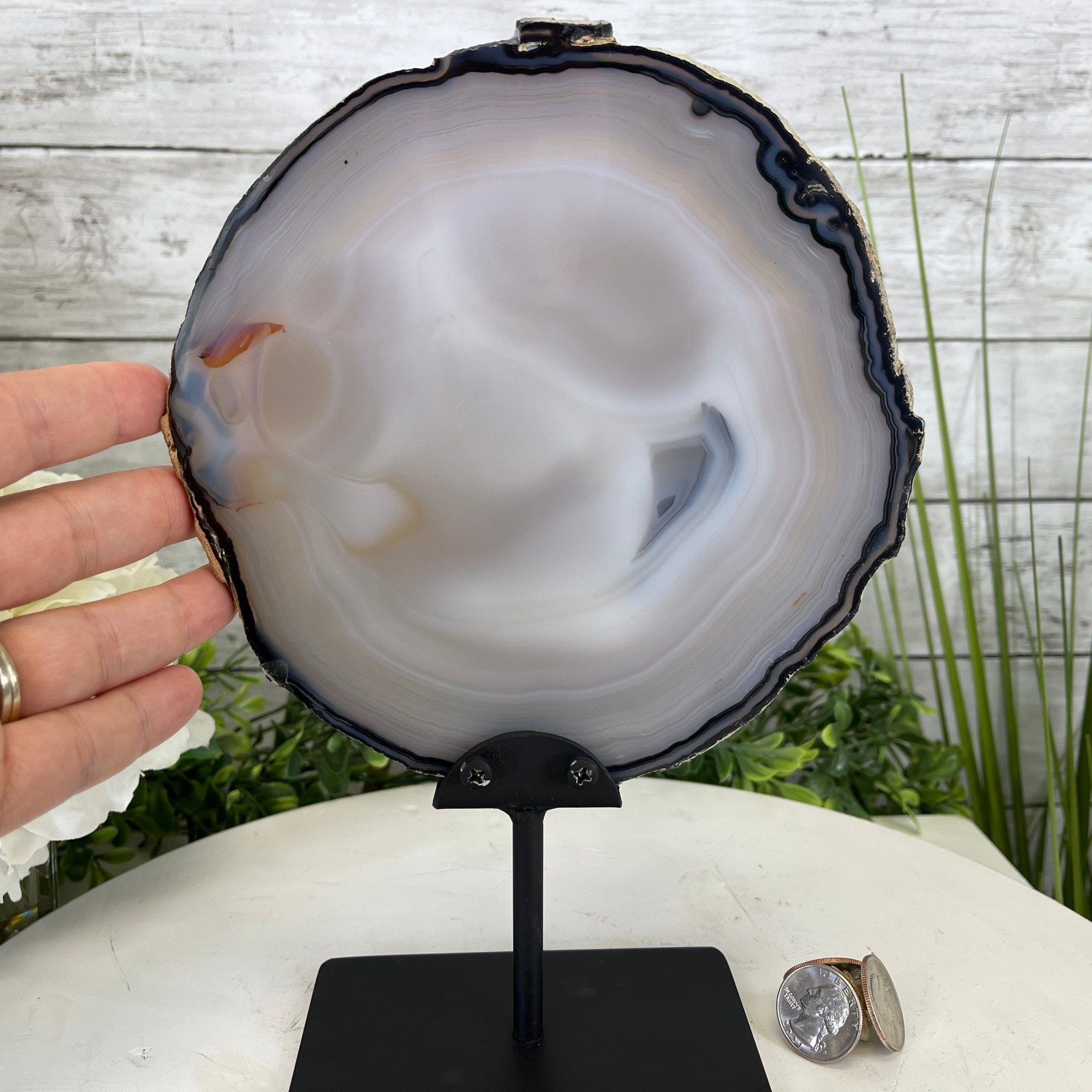 Natural Brazilian Agate Slice on metal base, 10.2" tall Model #5057-0117 by Brazil Gems - Brazil GemsBrazil GemsNatural Brazilian Agate Slice on metal base, 10.2" tall Model #5057-0117 by Brazil GemsSlices on Fixed Bases5057-0117