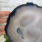 Natural Brazilian Agate Slice on metal base, 10.2" tall Model #5057-0117 by Brazil Gems - Brazil GemsBrazil GemsNatural Brazilian Agate Slice on metal base, 10.2" tall Model #5057-0117 by Brazil GemsSlices on Fixed Bases5057-0117