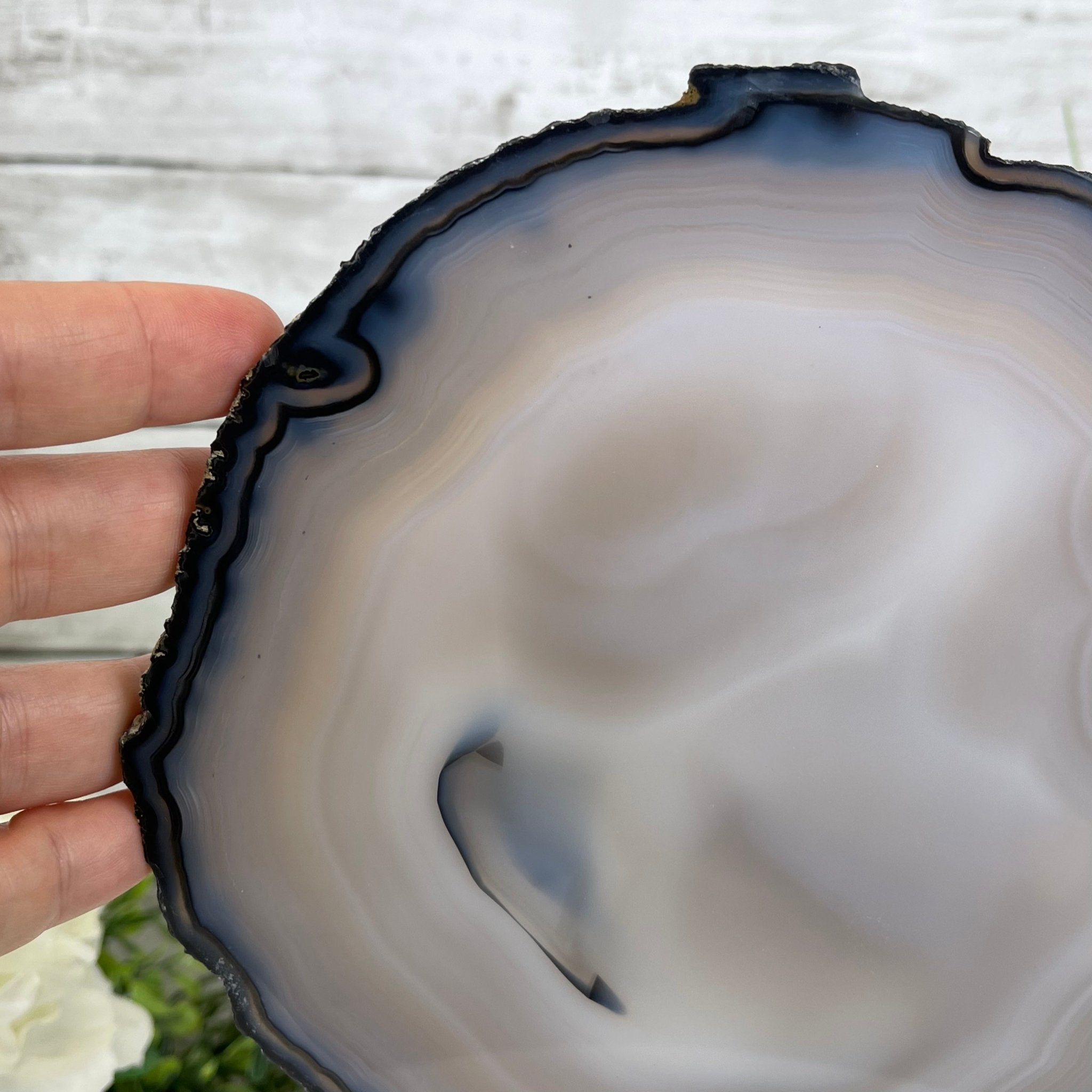 Natural Brazilian Agate Slice on metal base, 10.2" tall Model #5057-0117 by Brazil Gems - Brazil GemsBrazil GemsNatural Brazilian Agate Slice on metal base, 10.2" tall Model #5057-0117 by Brazil GemsSlices on Fixed Bases5057-0117