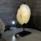 Natural Brazilian Agate Slice on metal base, 10.2" tall Model #5057-0117 by Brazil Gems - Brazil GemsBrazil GemsNatural Brazilian Agate Slice on metal base, 10.2" tall Model #5057-0117 by Brazil GemsSlices on Fixed Bases5057-0117