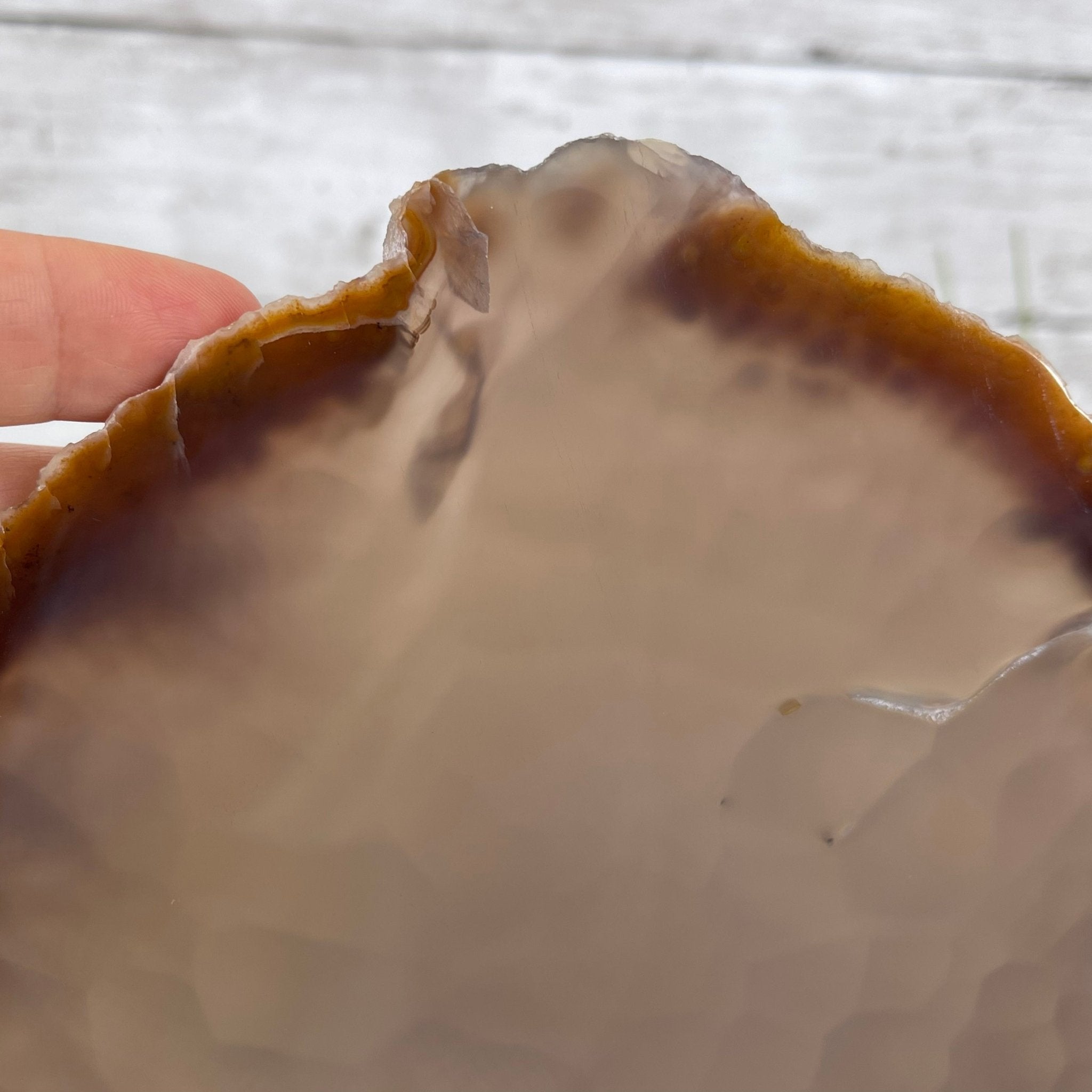 Natural Brazilian Agate Slice on metal base, 11" tall Model #5057-0136 by Brazil Gems - Brazil GemsBrazil GemsNatural Brazilian Agate Slice on metal base, 11" tall Model #5057-0136 by Brazil GemsSlices on Fixed Bases5057-0136