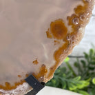Natural Brazilian Agate Slice on metal base, 11" tall Model #5057-0136 by Brazil Gems - Brazil GemsBrazil GemsNatural Brazilian Agate Slice on metal base, 11" tall Model #5057-0136 by Brazil GemsSlices on Fixed Bases5057-0136