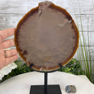 Natural Brazilian Agate Slice on metal base, 11" tall Model #5057-0136 by Brazil Gems - Brazil GemsBrazil GemsNatural Brazilian Agate Slice on metal base, 11" tall Model #5057-0136 by Brazil GemsSlices on Fixed Bases5057-0136