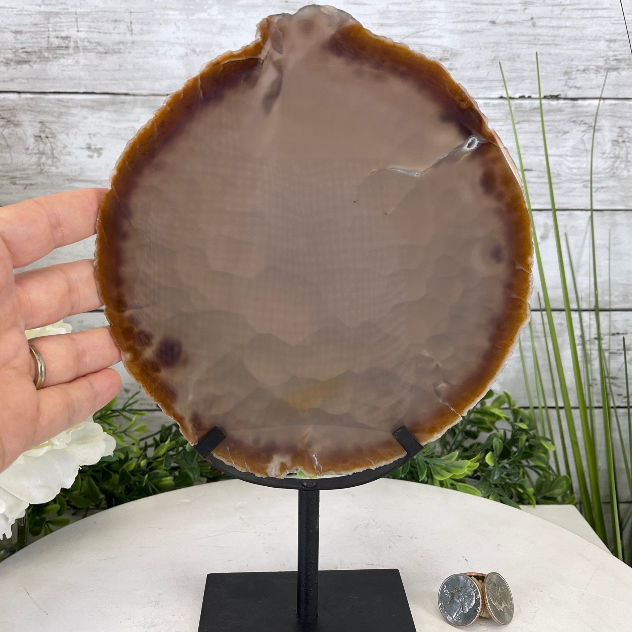 Natural Brazilian Agate Slice on metal base, 11" tall Model #5057-0136 by Brazil Gems - Brazil GemsBrazil GemsNatural Brazilian Agate Slice on metal base, 11" tall Model #5057-0136 by Brazil GemsSlices on Fixed Bases5057-0136