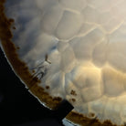Natural Brazilian Agate Slice on metal base, 11" tall Model #5057-0136 by Brazil Gems - Brazil GemsBrazil GemsNatural Brazilian Agate Slice on metal base, 11" tall Model #5057-0136 by Brazil GemsSlices on Fixed Bases5057-0136