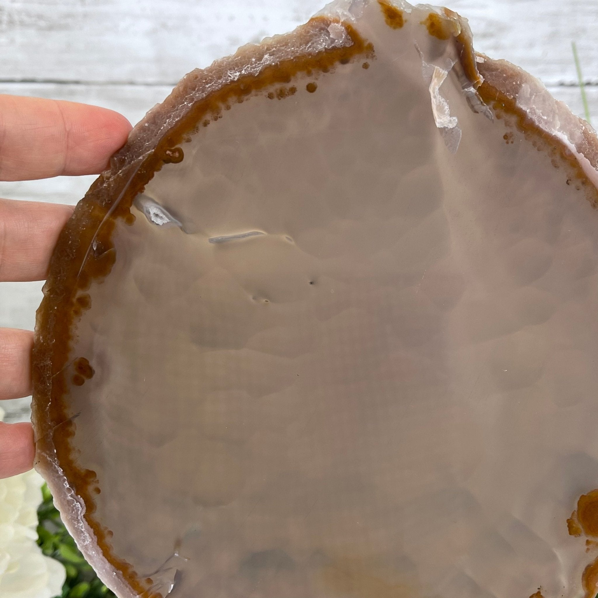 Natural Brazilian Agate Slice on metal base, 11" tall Model #5057-0136 by Brazil Gems - Brazil GemsBrazil GemsNatural Brazilian Agate Slice on metal base, 11" tall Model #5057-0136 by Brazil GemsSlices on Fixed Bases5057-0136